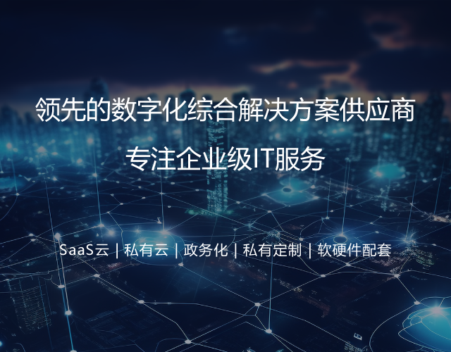 专注企业级IT服务